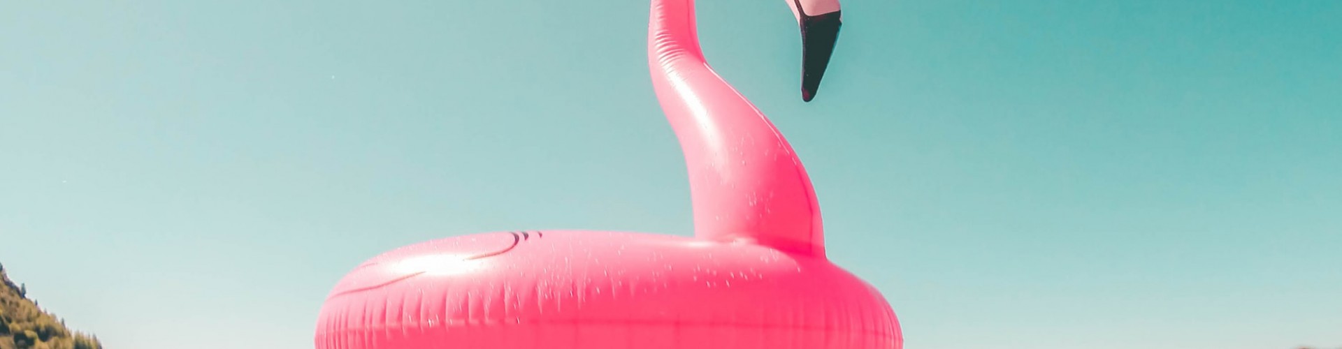 inflatable flamingo on water sunny day