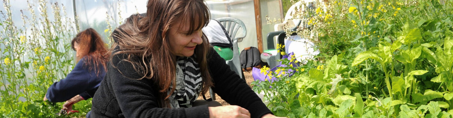 two ladies busy weeding in a vegetable garden