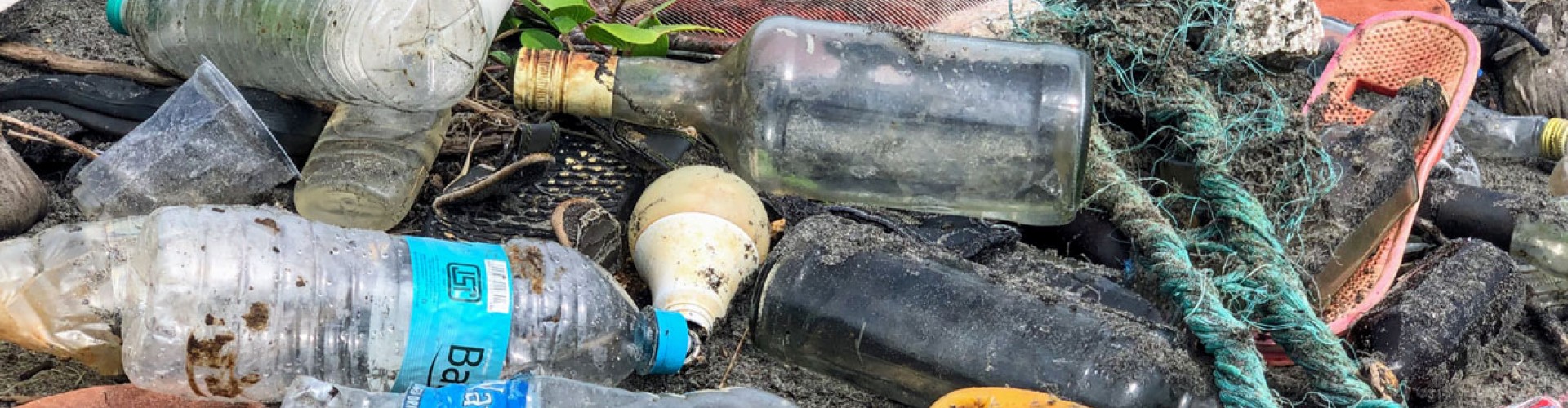 plastic bottles washed up on a beach