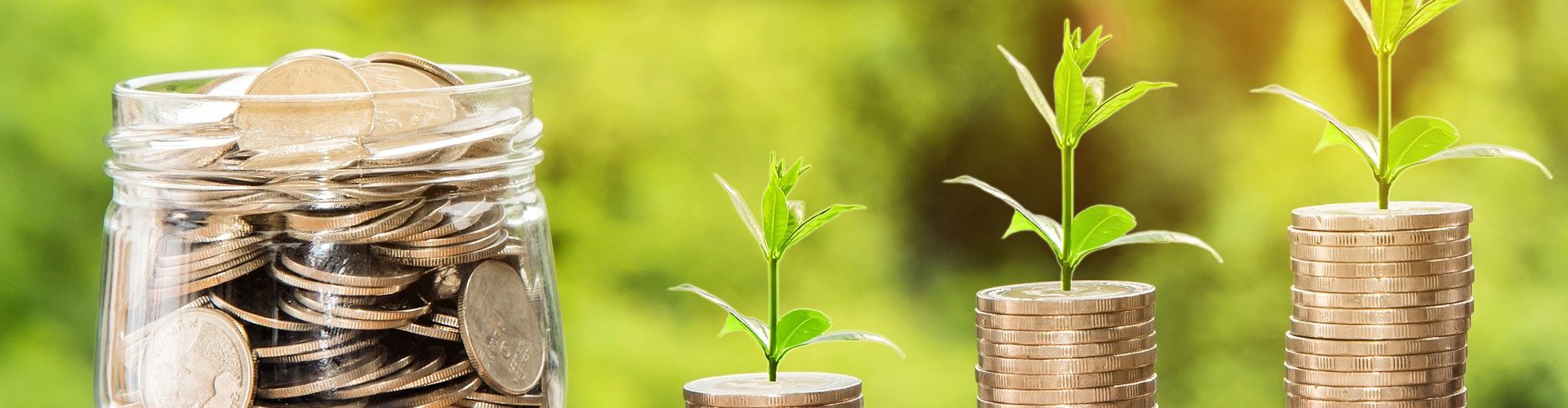 pot of coins and piles of coins with plant shoots emerging