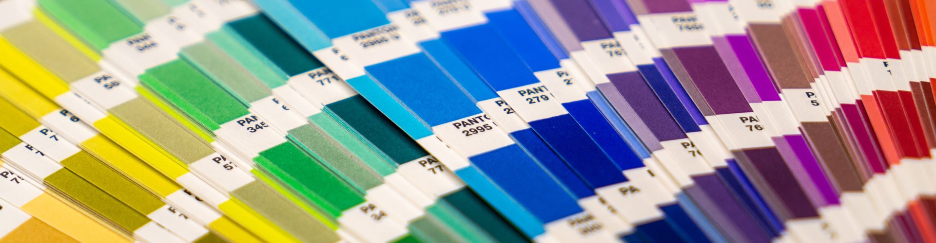 fanned out pantone swatch