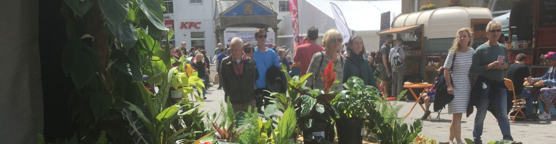 plant stall at outdoor market on falmouth moor