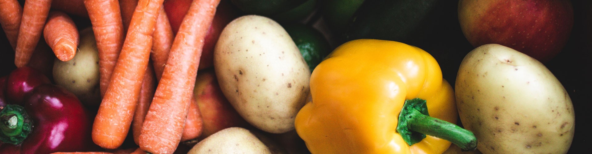 close up of mixed vegetable crop