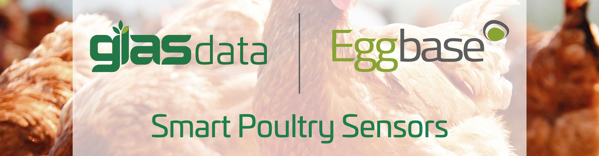 glas data and eggbase logos over image of chickens