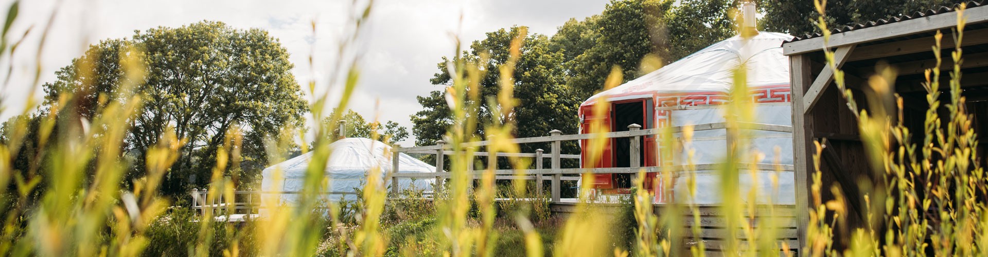 Yurts at Fir Hill Estate