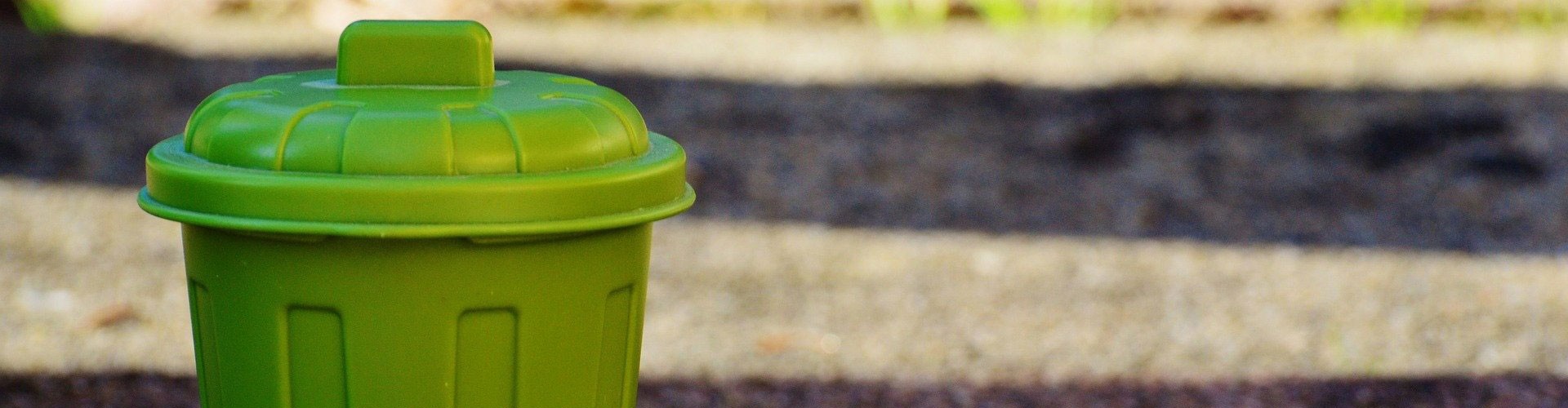 small green plastic rubbish bin on street