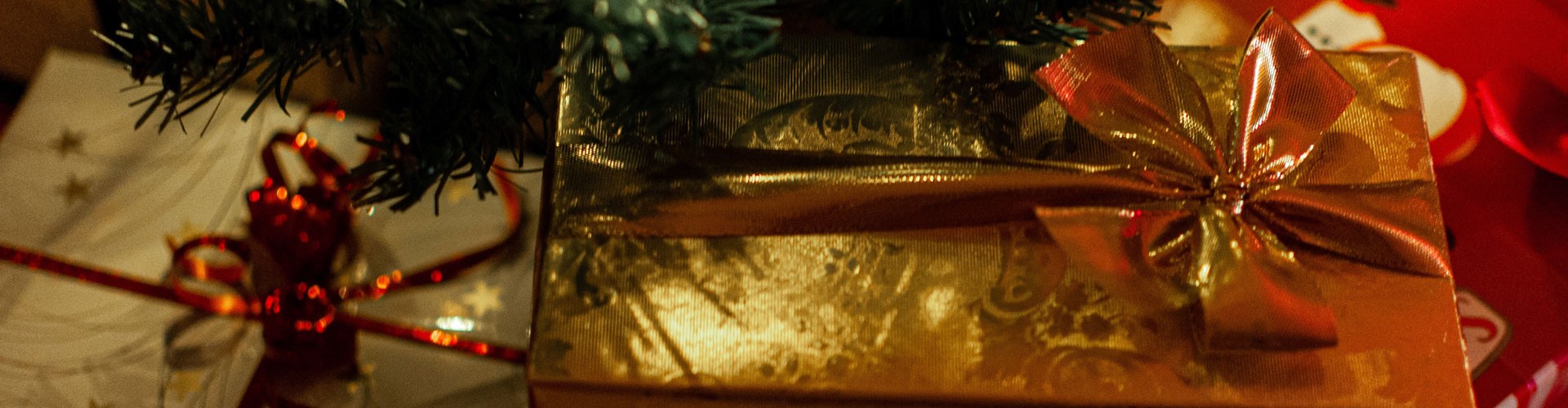 Christmas present under the tree