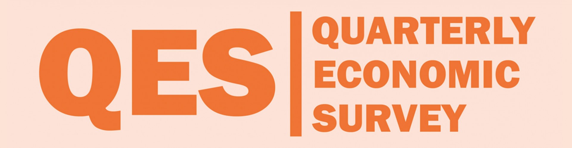 cornwall chamber of commerce QES logo