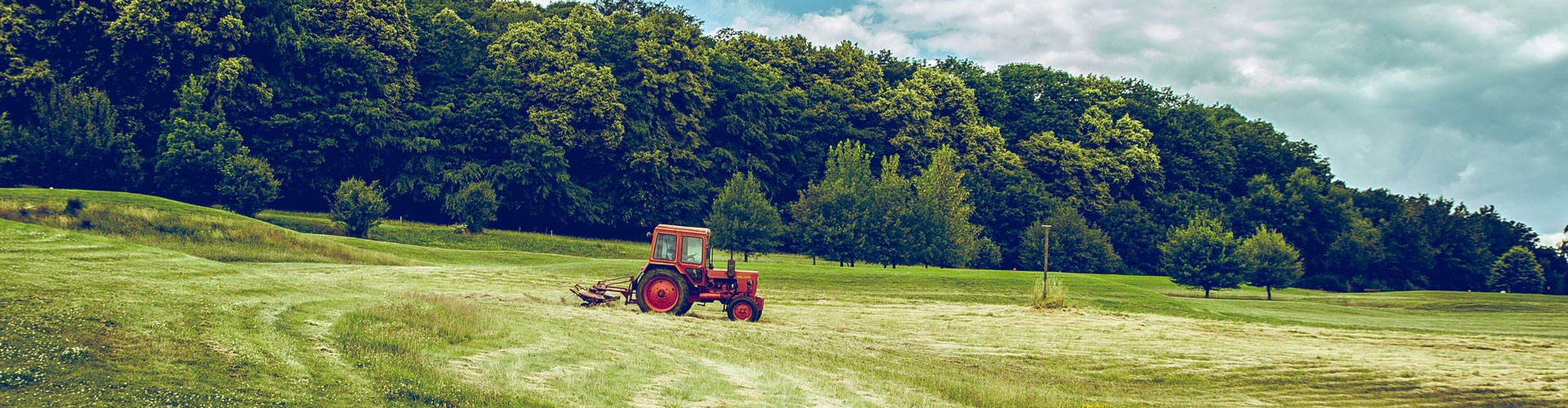 small red tractor in field with woods in background