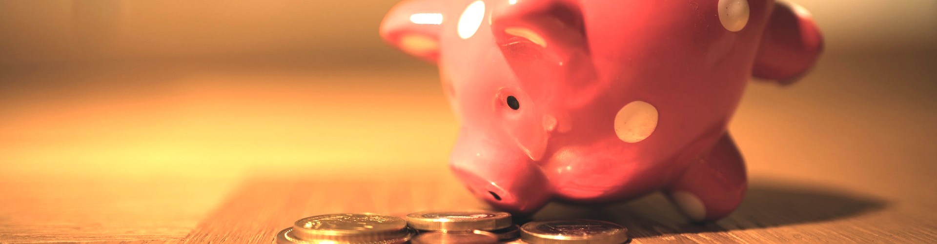 Piggy bank looking at money 