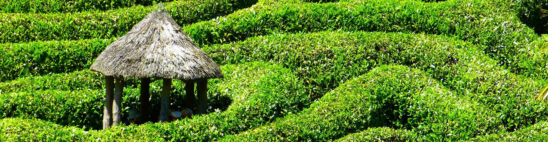 glendurgan maze