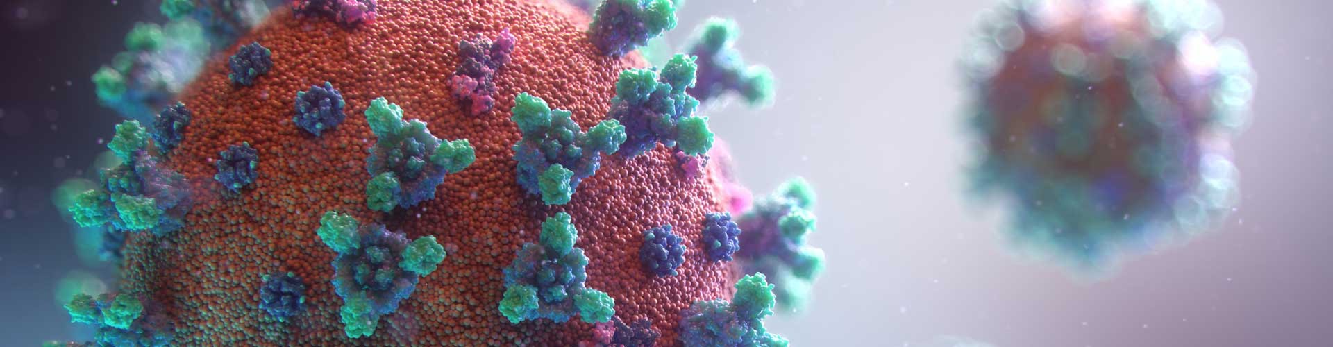 covid virus close up