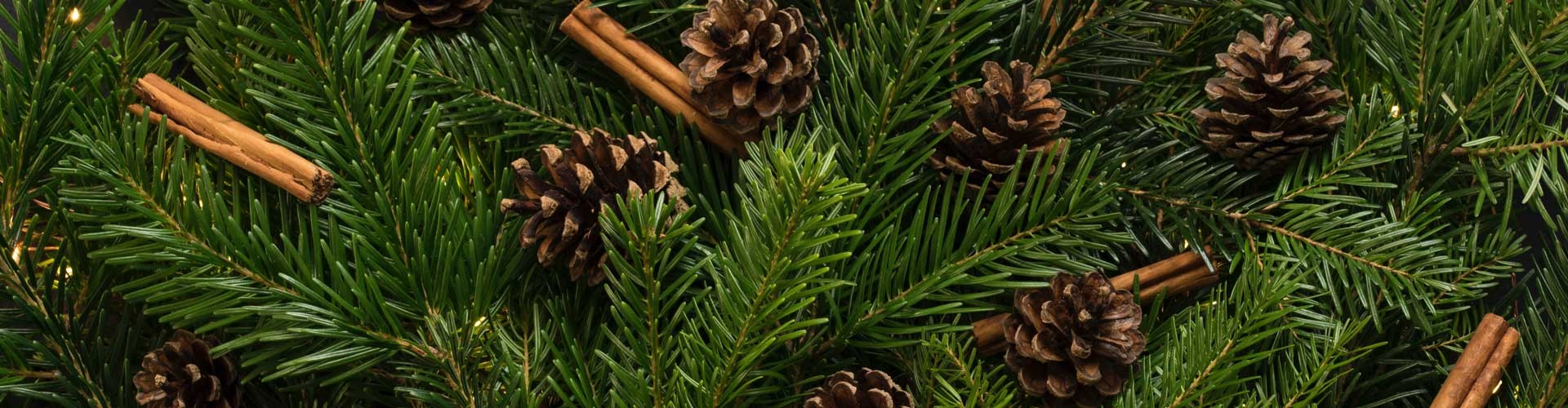 christmas greenery