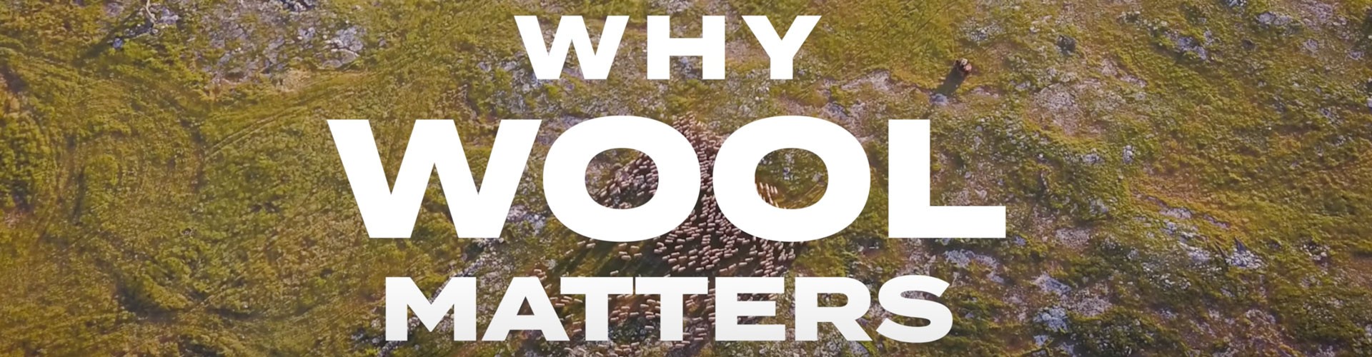 why wool matters