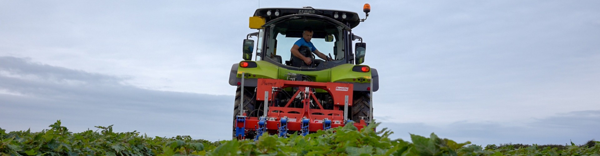 A tractor in a field