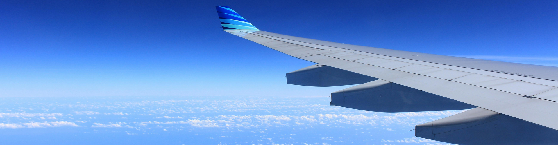 plane wing