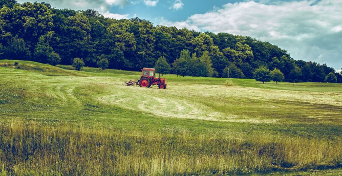 small red tractor in field with woods in background