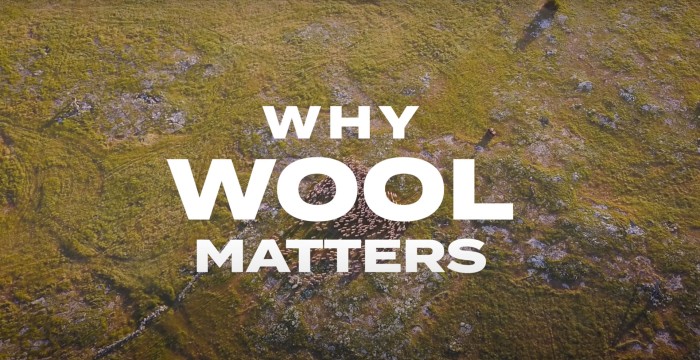 why wool matters
