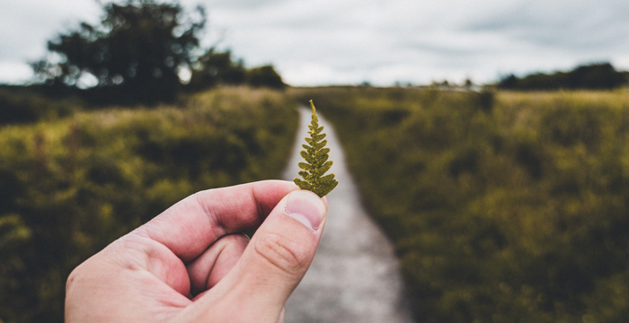 path to sustainability