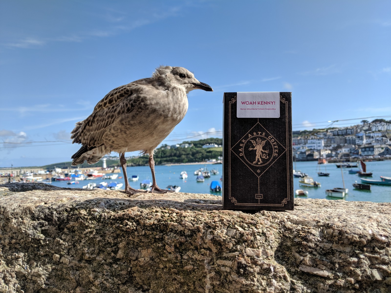 Mount Zion Coffee Cornwall & Isles of Scilly Growth Hub