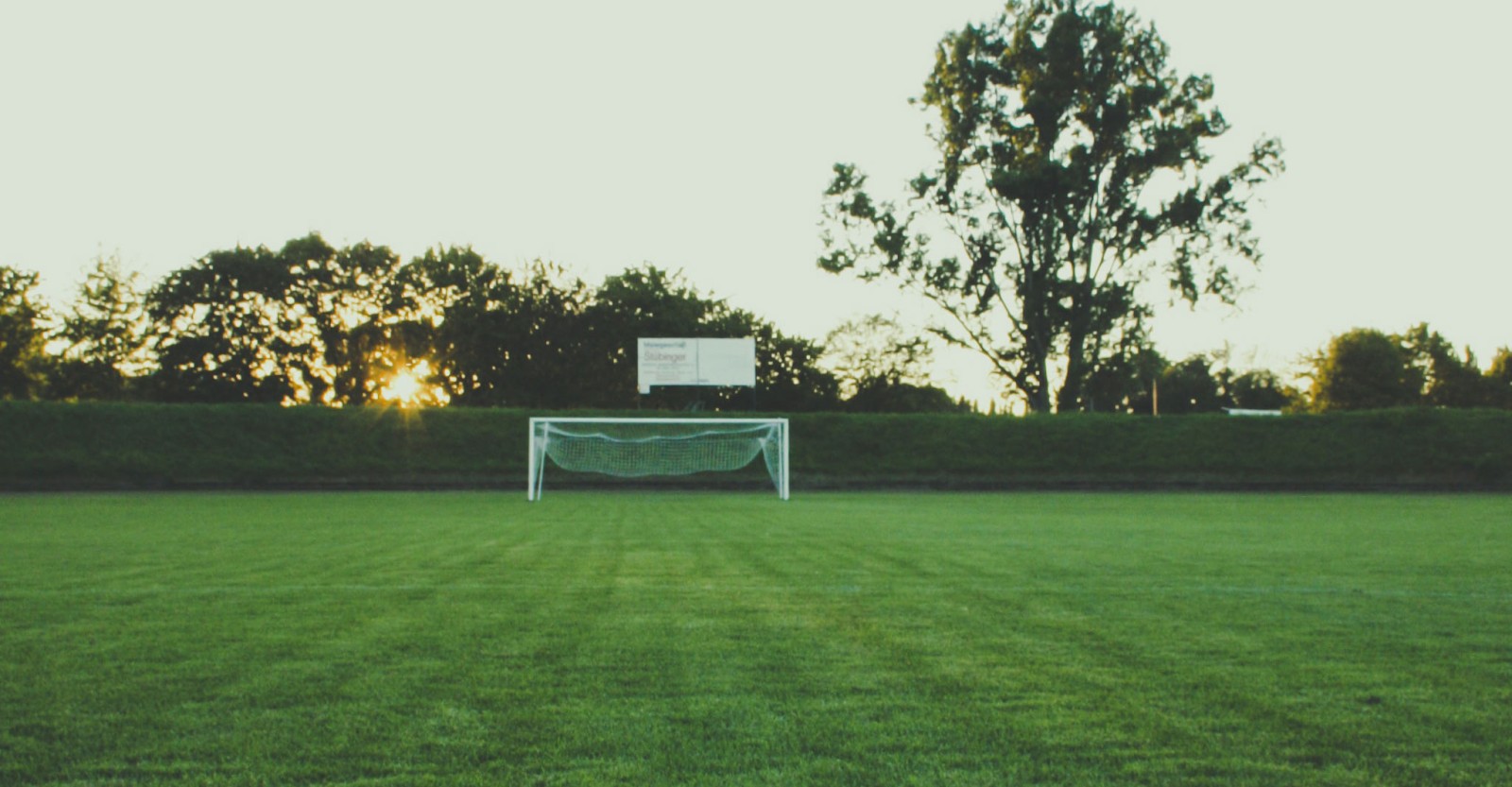 Football field, goal and a background of trees
