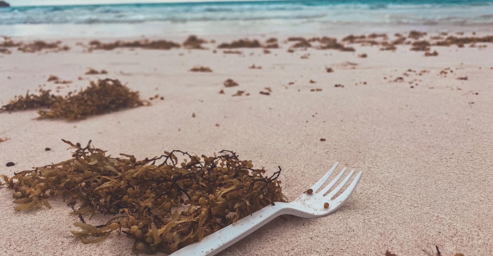 Plastic fork in the sand with seaweed