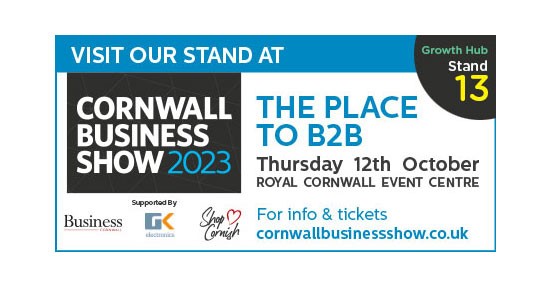 Business Show poster