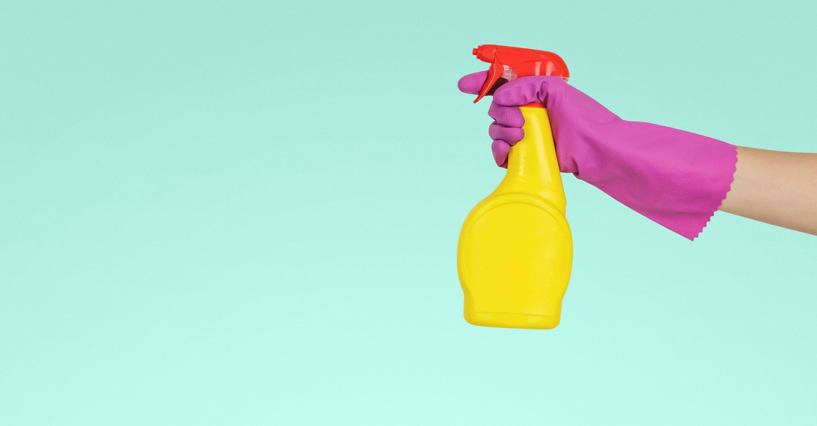 A pink rubber gloved hand and some yellow cleaning spray