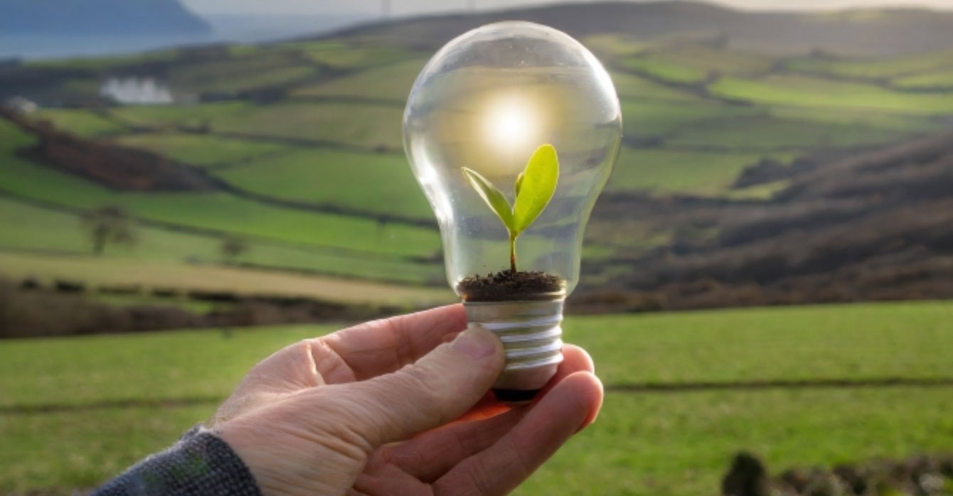 A plant in a lightbulb with a background of rolling fields
