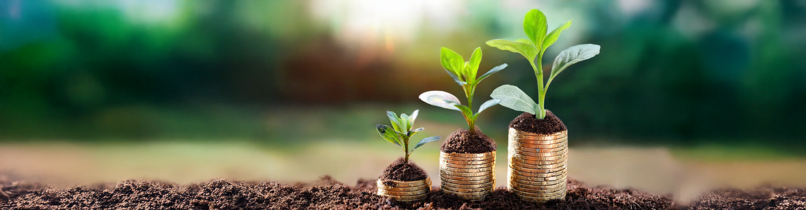 seedlings growing out of piles of coins
